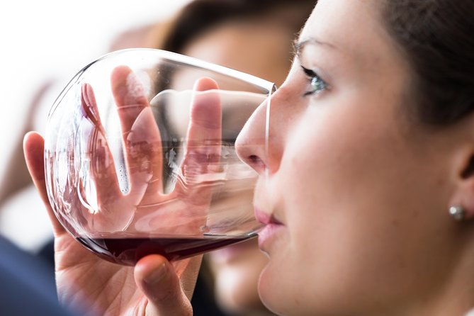Tasmanian Premium Wine Tour With Tasmanian Cheese Platter - Inclusions and Highlights