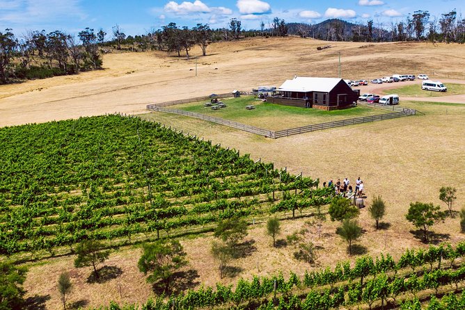 Tasmanian Premium Wine Tour With Tasmanian Cheese Platter - Additional Information for Travelers