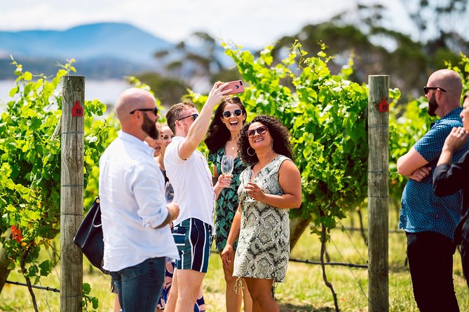 Tasmanian Premium Wine Tour With Tasmanian Cheese Platter - Tour Duration and Drop-off