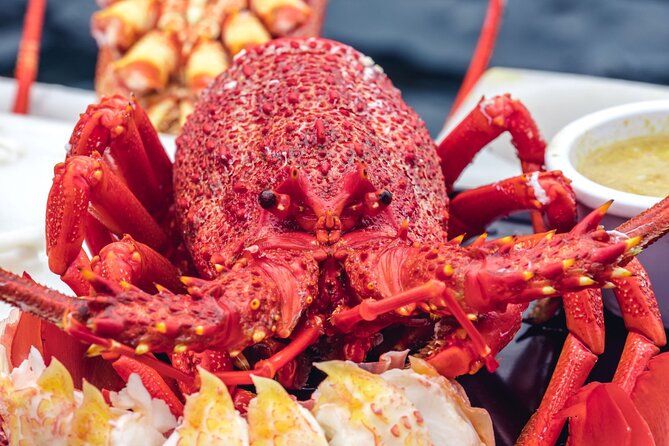 Tasmanian Seafood Gourmet Full-Day Cruise Including Lunch - Reviews and Ratings