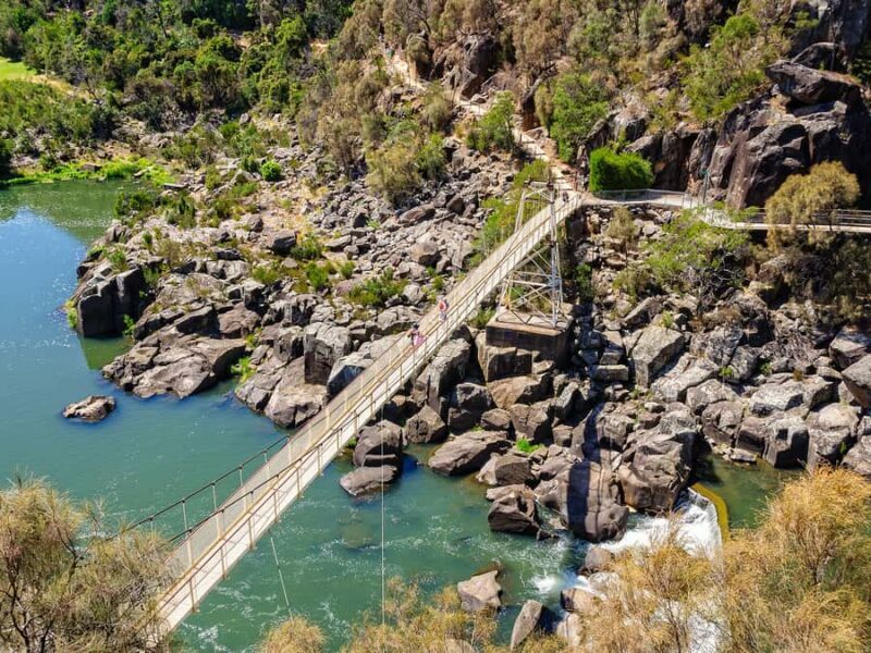 Tasmanias Cataract Gorge & Lavender Day - A Deep Dive Into the Experience