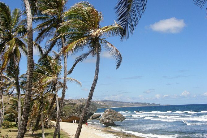 Taste of Barbados Full-Day Sightseeing tour - Key Points