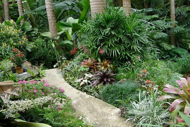 Taste of Barbados Full-Day Sightseeing tour - What’s Included and Why It Matters