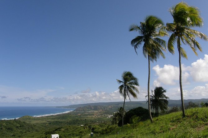 Taste of Barbados Full-Day Sightseeing Tour - Pickup and Transportation