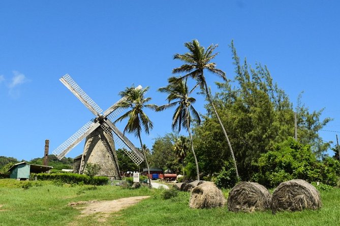 Taste of Barbados Full-Day Sightseeing Tour - Tour Duration and Group Size