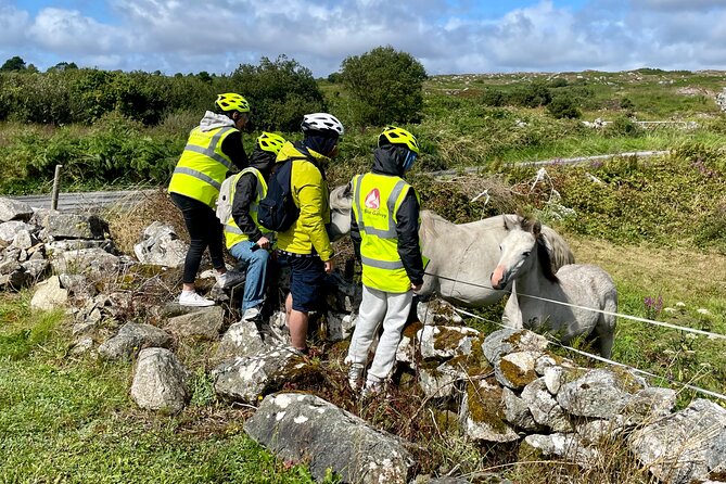 Taste of Connemara Tour by Electric Fat Tyre Bike - Tour Details
