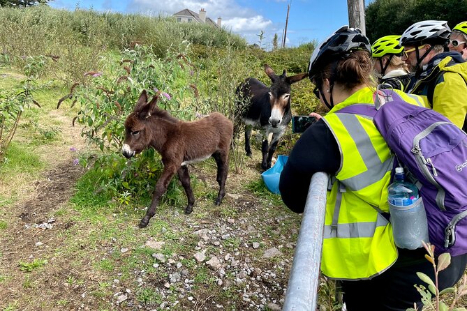 Taste of Connemara Tour by Electric Fat Tyre Bike - Participant Requirements