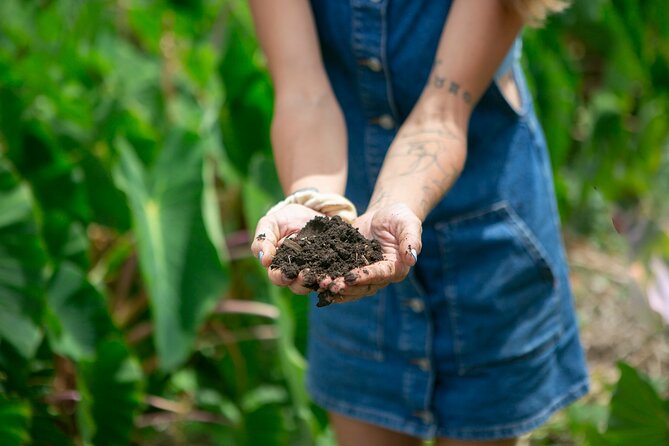 Taste of Hawaii: A Maui Farm Tour - Included Snacks and Local Produce