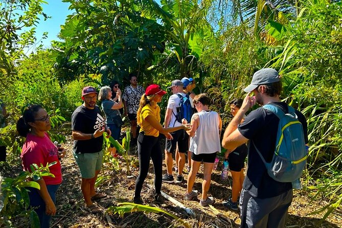 Taste of Hawaii: A Maui Farm Tour - Tour Duration and Group Size