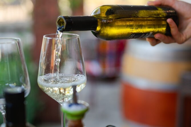 Taste of Istria - Wine, Brandy, Vinegar, Local Food - Cancellation Policy