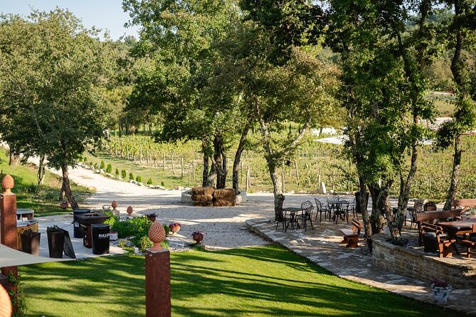 Taste of Istria - Wine, Brandy, Vinegar, Local Food - Participant Experience and Reviews