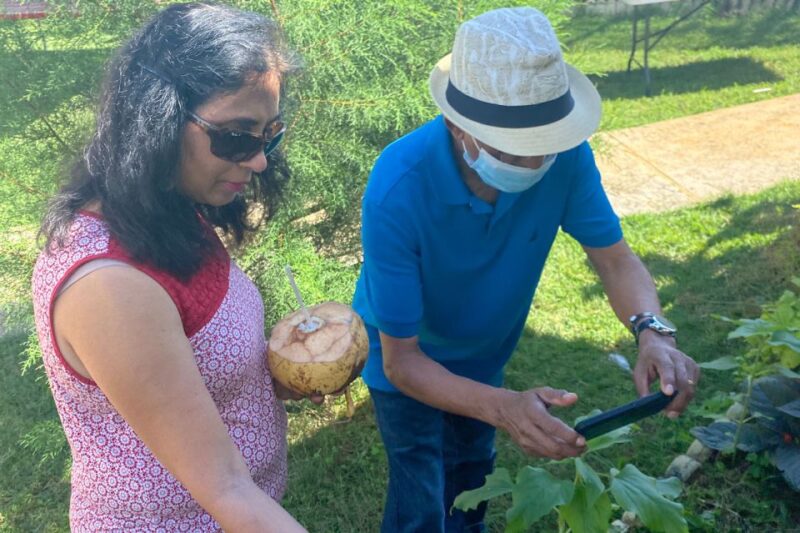 Taste of Jamaica Farm & Food Tour - Key Points