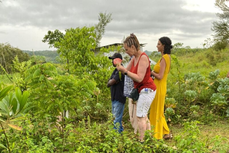 Taste of Jamaica Farm & Food Tour - Tour Experience and Highlights