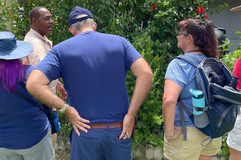 Taste of Jamaica Farm & Food Tour - Customer Reviews and Feedback