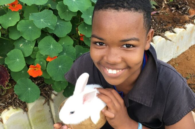Taste of Jamaica Farm & Food Tour - Engaging Learning and Personal Interactions