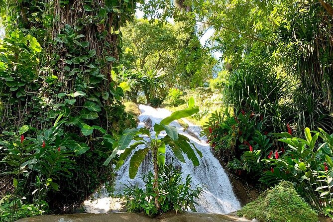 Taste of Jamaica Food Tour From Ocho Rios - Confirmation