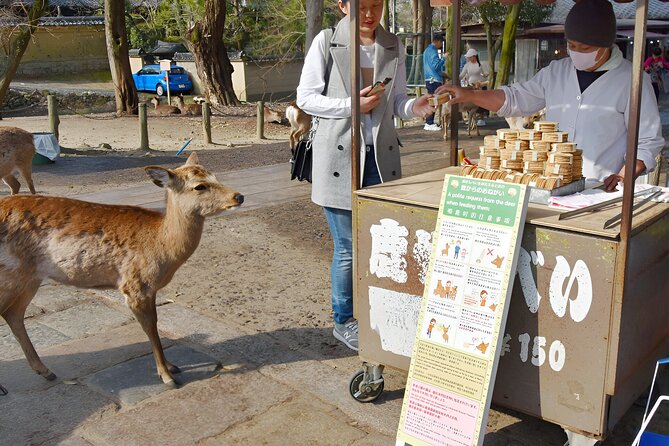 Taste of Nara A Guided Half Day Food Tour Tailored to Your Taste - Connecting With Local Flavors