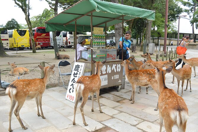 Taste of Nara A Guided Half Day Food Tour Tailored to Your Taste - Customizing Your Taste of Nara