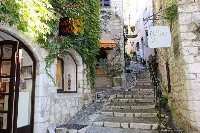 Taste of Provence, Countryside Villages - Half Day Private Tour - Traveler Feedback