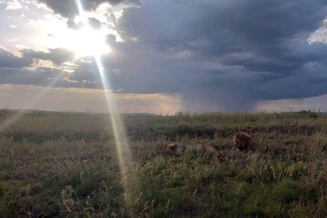 Taste of Tanzania: 3 Day Safari Tour - Meeting and Pickup Details
