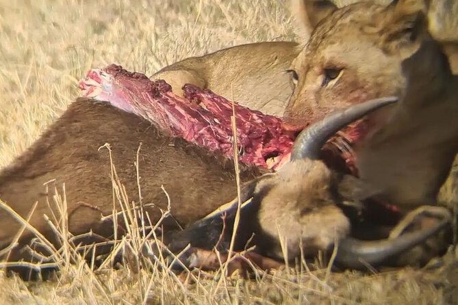 Taste of Tanzania: 3 Day Safari Tour - Itinerary Day 1