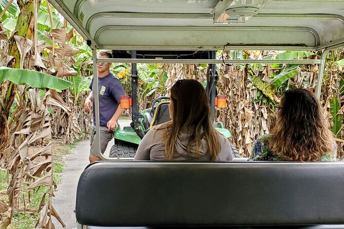 Taste of the Tropics Full-Day Tour in Homestead, Florida - Accessibility and Accommodations