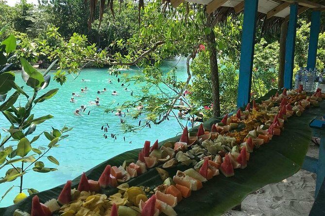 Taste See and Swim Full Day Adventure in Vanuatu - An In-Depth Look at the Full-Day Vanuatu Adventure