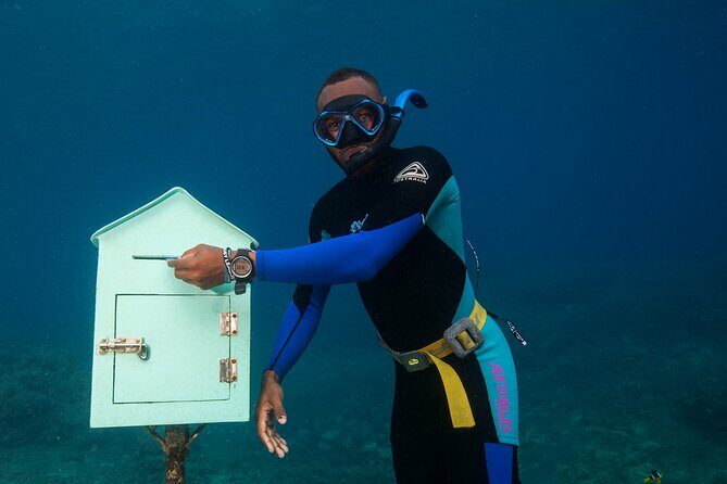 Taste See and Swim Full Day Adventure in Vanuatu - Who Will Love This Tour?