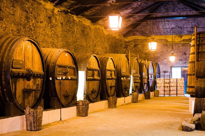 Taste the Douro - Vintage Experience - Transportation and Pricing Details