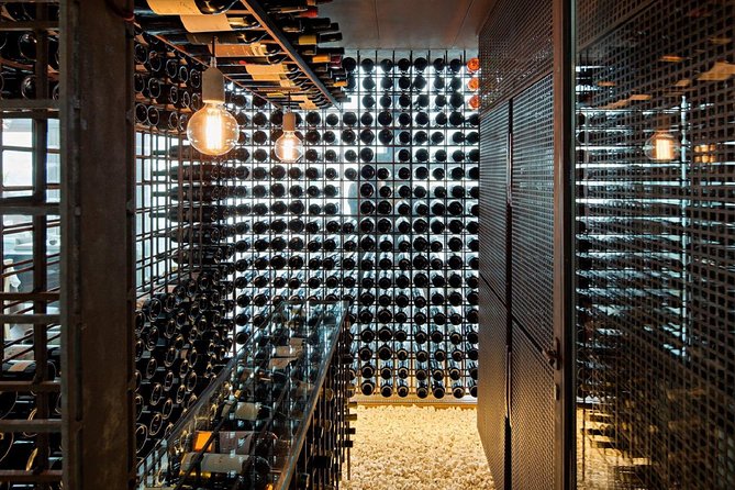 Taste the Douro - Vintage Experience - Exploring the Douro Farm and Quintas