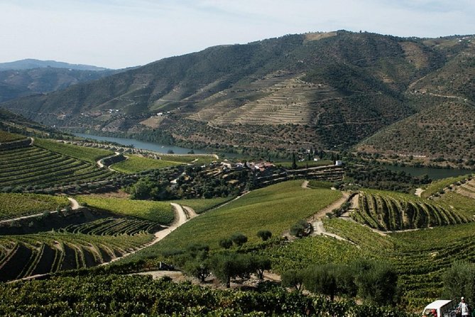 Taste the Douro - Vintage Experience - Capturing the Regions Scenic Charm