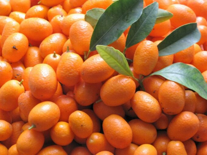 Taste the Local Products and Culinary Treasures of Corfu. - Frequently Asked Questions