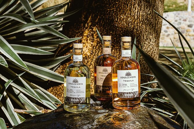 Taste the Spirits of Mexico: Tequila & Mezcal Tasting - Key Points