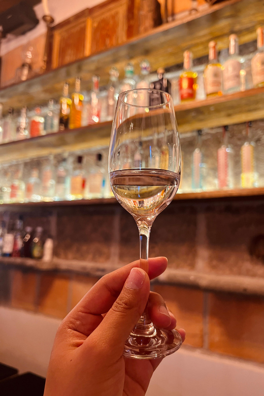 Taste the Spirits of Mexico Through Its Agave Distillates - Key Points