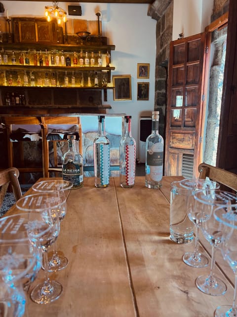 Taste the Spirits of Mexico Through Its Agave Distillates - Explore the Agave Realm