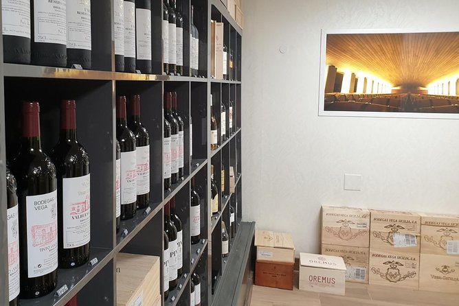 TASTE the TREASURES From RIBERA DEL DUERO in a SUBTERRANEAN Wine Cellar - Wine and History Intertwined