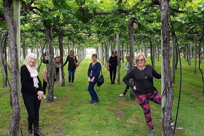 Taste the Valley Wine Tour in Marlborough With Wine Tasting - Transportation and Pickup