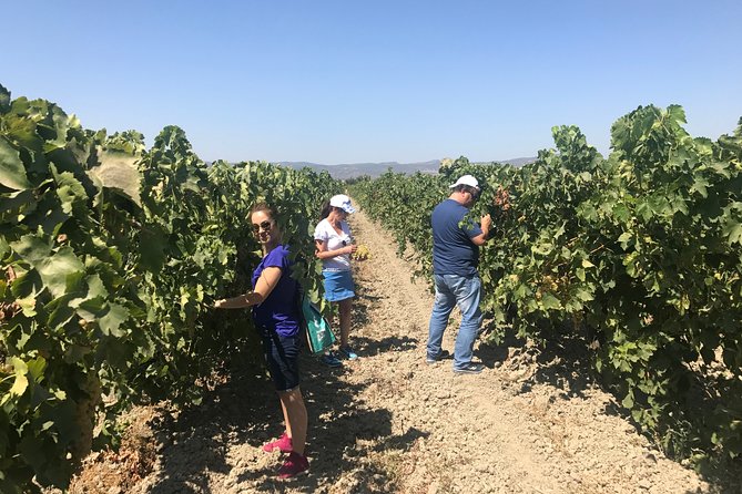 Tastes of Turkey Tour - Duration and Availability