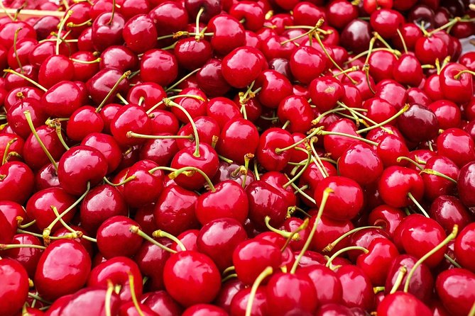 Tastes of Turkey Tour - Price and Cancellation