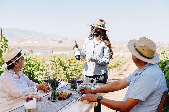Tasting and Tour Through the Vineyard - Key Points