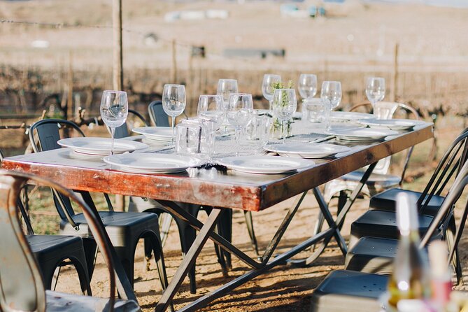 Tasting and Tour Through the Vineyard - Ambiance and Atmosphere