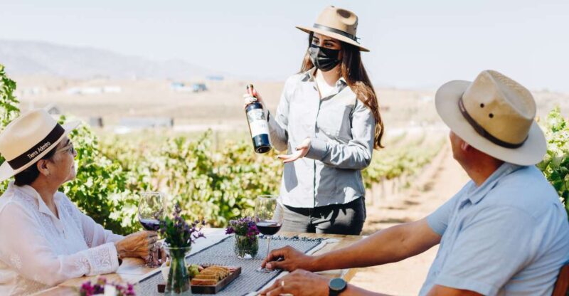 Tasting and Tour Through the Vineyard - Pricing and Reservation