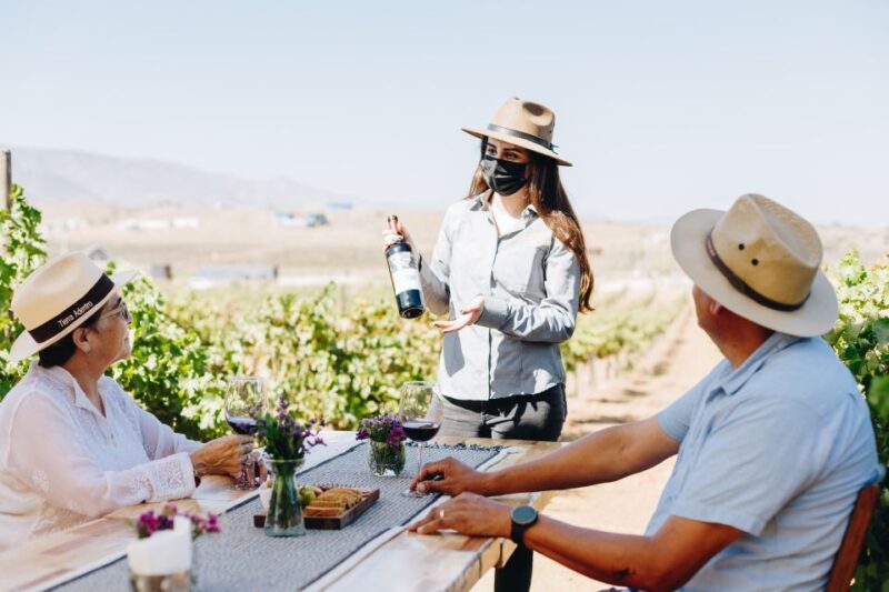 Tasting and Tour Through the Vineyard - Customer Feedback