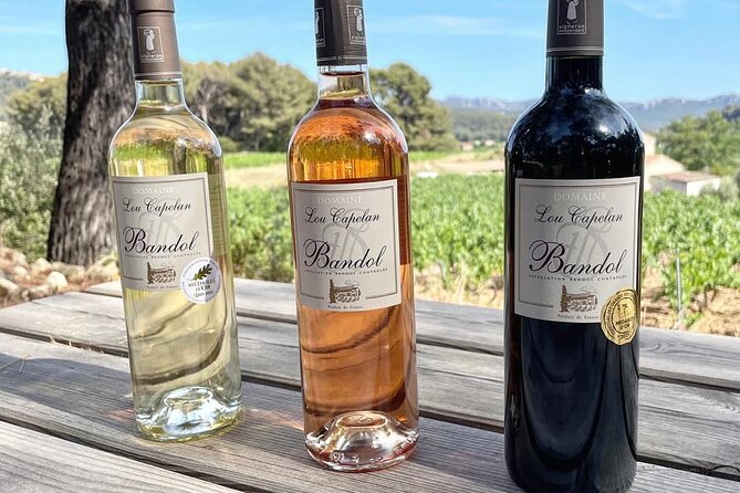 Tasting Bandol Wines & Visit of Cellar (in English) - Red, Rosé, and White Tasting