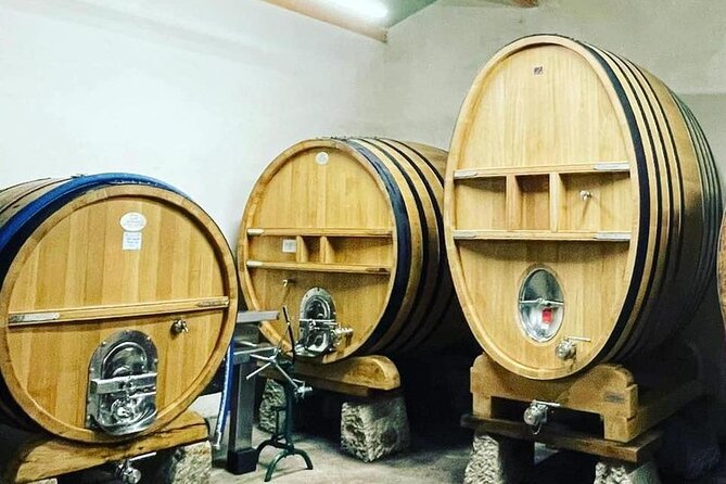 Tasting Bandol Wines & Visit of Cellar (in English) - Traveler Reviews and Feedback