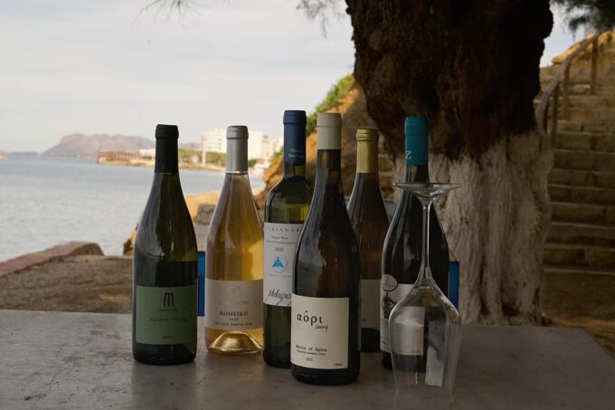 Tasting/Discovery of Cretan Grape Varieties by the Seaside! - Accompanying Meze