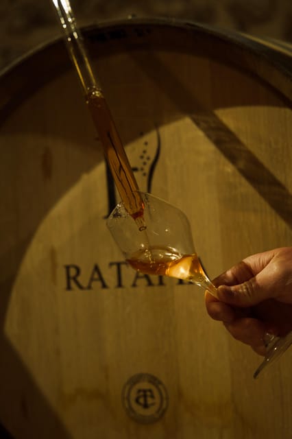 Tasting Experience: Discover Our Champagnes in Marne Valley - Sample the Champagne Varieties