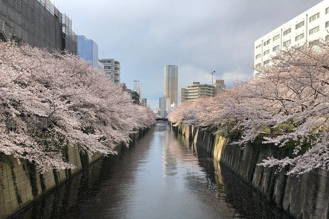 Tasting Food and Japanese Sake in Taito City - Taking in the Authentic Japanese Atmosphere