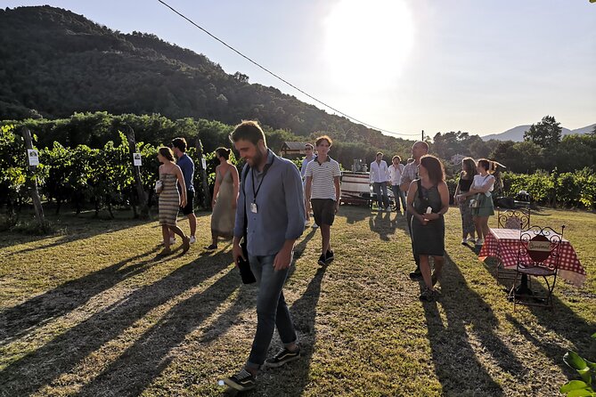 Tasting in a Tuscan Vineyard With Transfer From Lucca - Wine Tasting and Local Delicacies