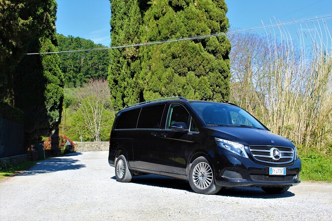 Tasting in a Tuscan Vineyard With Transfer From Lucca - Additional Information and Restrictions